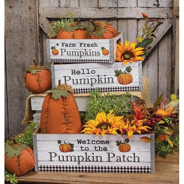 3/Set Welcome to the Pumpkin Patch Crates - The Fox Decor